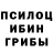 Псилоцибиновые грибы прущие грибы Luda Rainbow