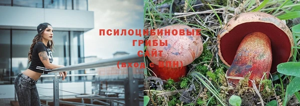прущая мука Абаза
